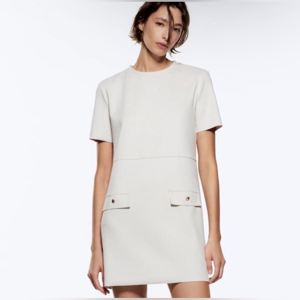 ZARA Faux Suede Shift Dress